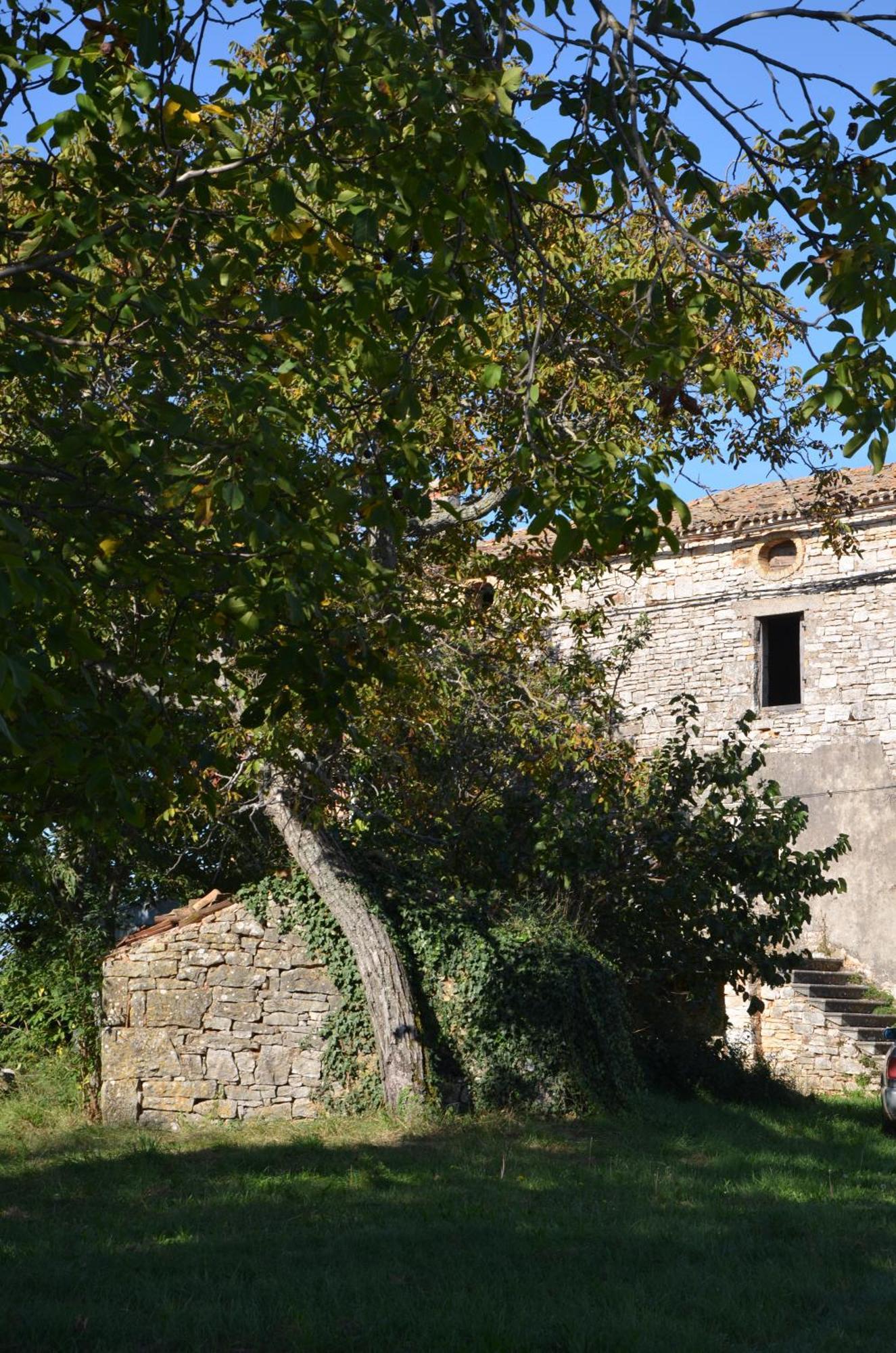 Villa Olivetta By Istrian Country Houses Barat  Buitenkant foto