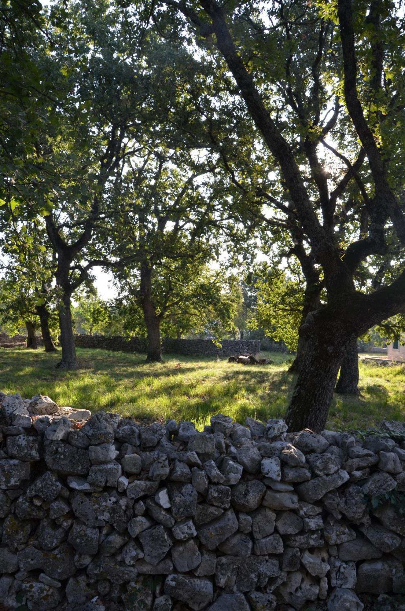 Villa Olivetta By Istrian Country Houses Barat  Buitenkant foto