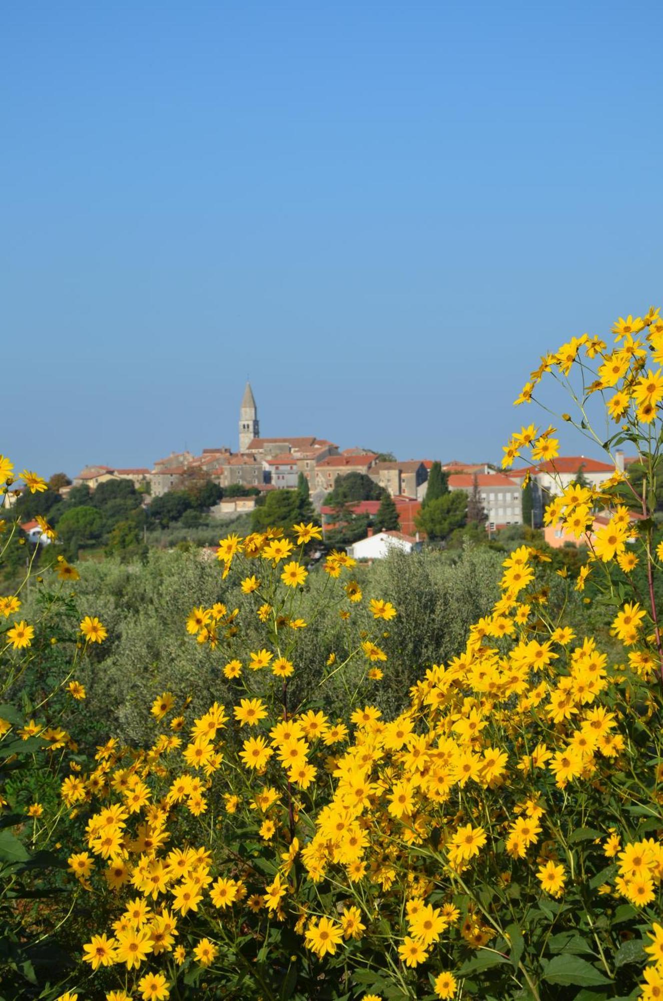 Villa Olivetta By Istrian Country Houses Barat  Buitenkant foto