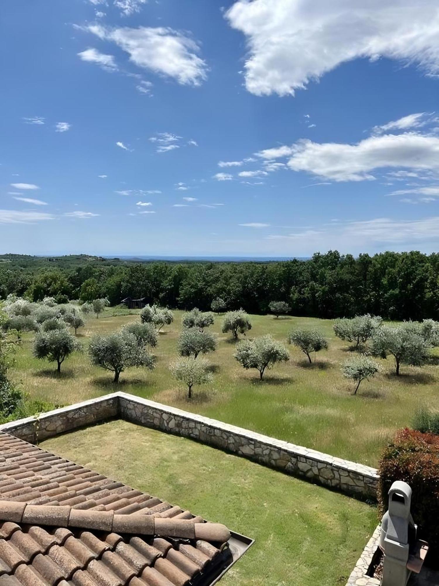Villa Olivetta By Istrian Country Houses Barat  Buitenkant foto