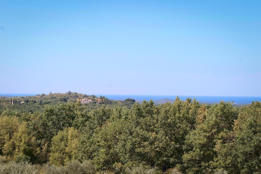 Villa Olivetta By Istrian Country Houses Barat  Buitenkant foto